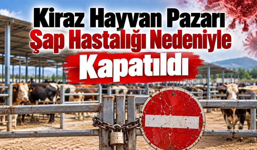 Kiraz Hayvan Pazarı Şap Hastalığı Nedeniyle Kapatıldı