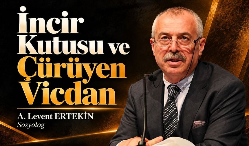 A. Levent Ertekin yazdı... İncir Kutusu ve çürüyen vicdan