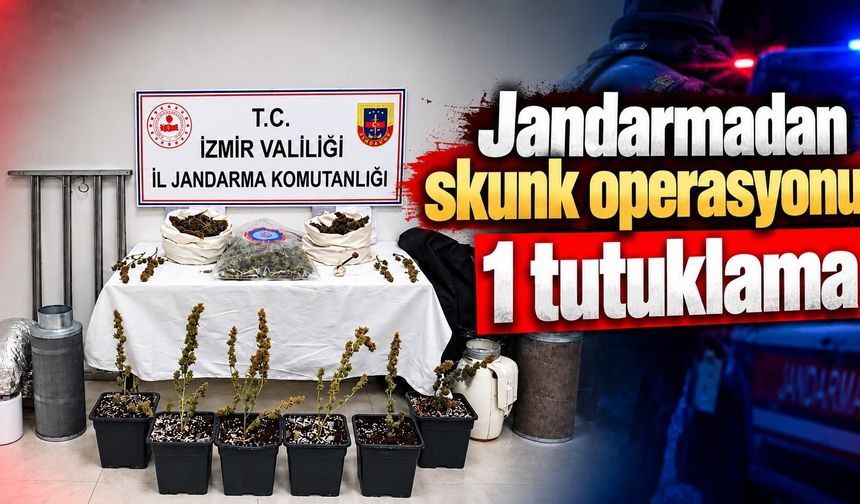 Jandarmadan skunk operasyonu 1 tutuklama