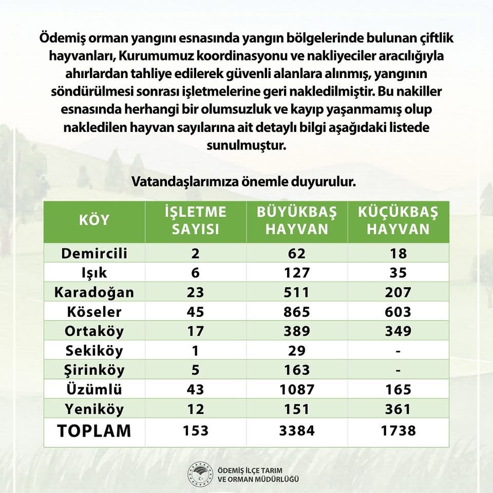 Whatsapp Görsel 2025 07 17 Saat 10.11.19 C6F6A01B