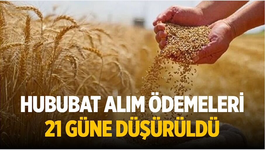 Hububat Alım Ödemeleri 21 Güne Düşürüldü