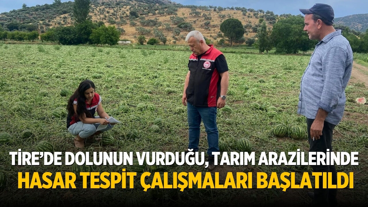 Tire’de Dolunun Vurduğu, Tarım Arazilerinde Hasar Tespit Çalışmaları Başlatıldı
