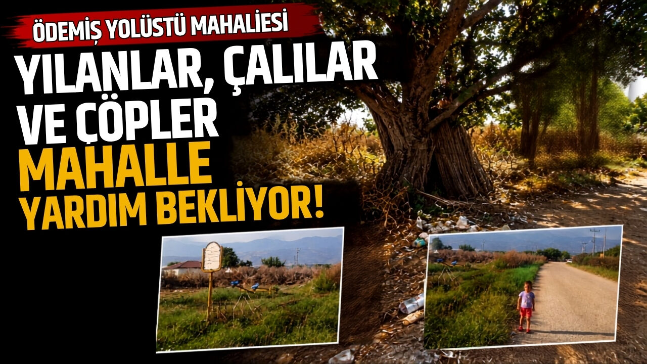 Ödemiş Yolüstü mahallesi Yılanlar, Çalılar ve Çöpler Mahalle Yardım Bekliyor