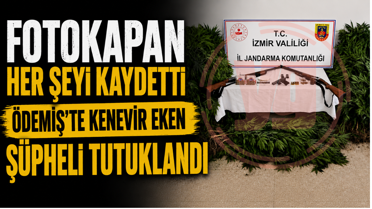 Fotokapan Her Şeyi Kaydetti Ödemiş’te Kenevir Eken Şüpheli Tutuklandı